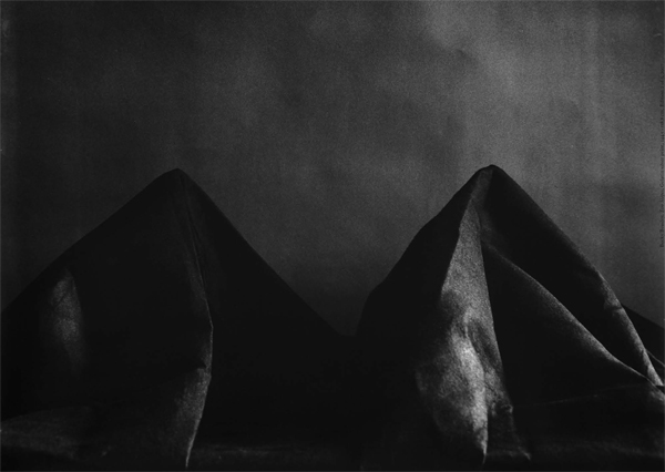 April is the cruellest month, breeding