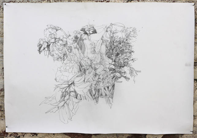 Drawing VI